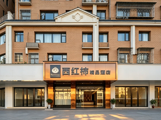 江口西红柿精品酒店(梵净山公园店)