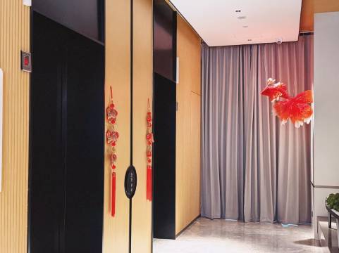 徐州彭城广场希尔顿花园酒店图片