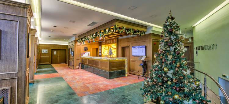 安姆比恩特酒店(Hotel Ambient)图片