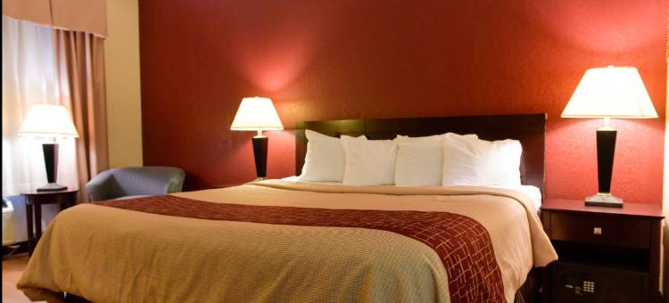 内布拉斯加林肯温德姆呗盟套房酒店(Baymont Inn & Suites by Wyndham Lincoln NE)图片