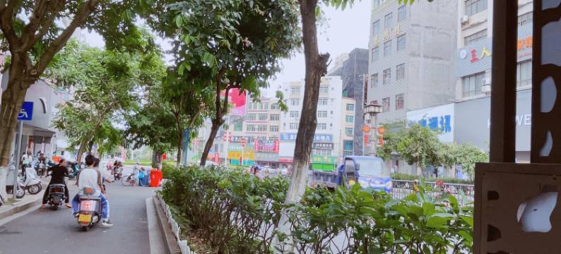 徐闻金山宾馆(县政府店)图片