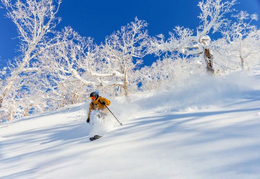 Rusutsu Resort Hotel & Convention Hotel Overview