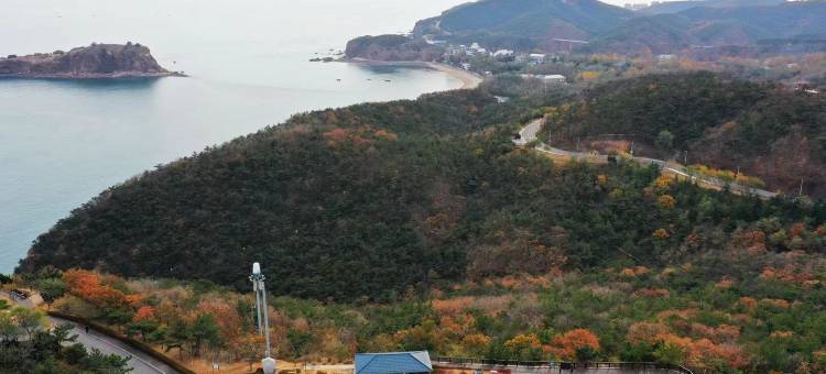 山水漫居酒店(大连老虎滩海洋公园店)图片