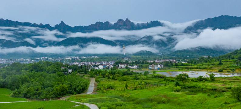远山近佛·九华山半亩花田民宿图片