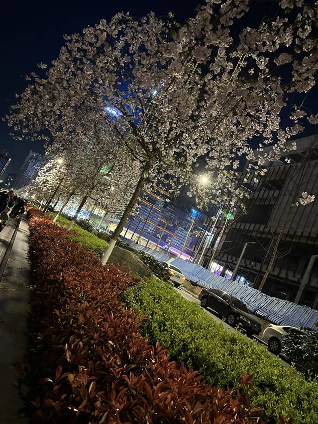 武陵国际酒店(恩施文化广场机场店)图片