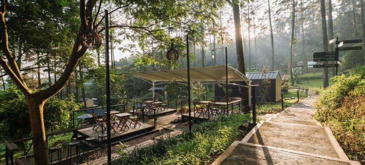 波波卡宾帕杜桑酒店(Bobocabin Pacet, Mojokerto)图片