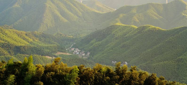 YOU HOUSE·莫干有家民宿(莫干山风景区店)图片