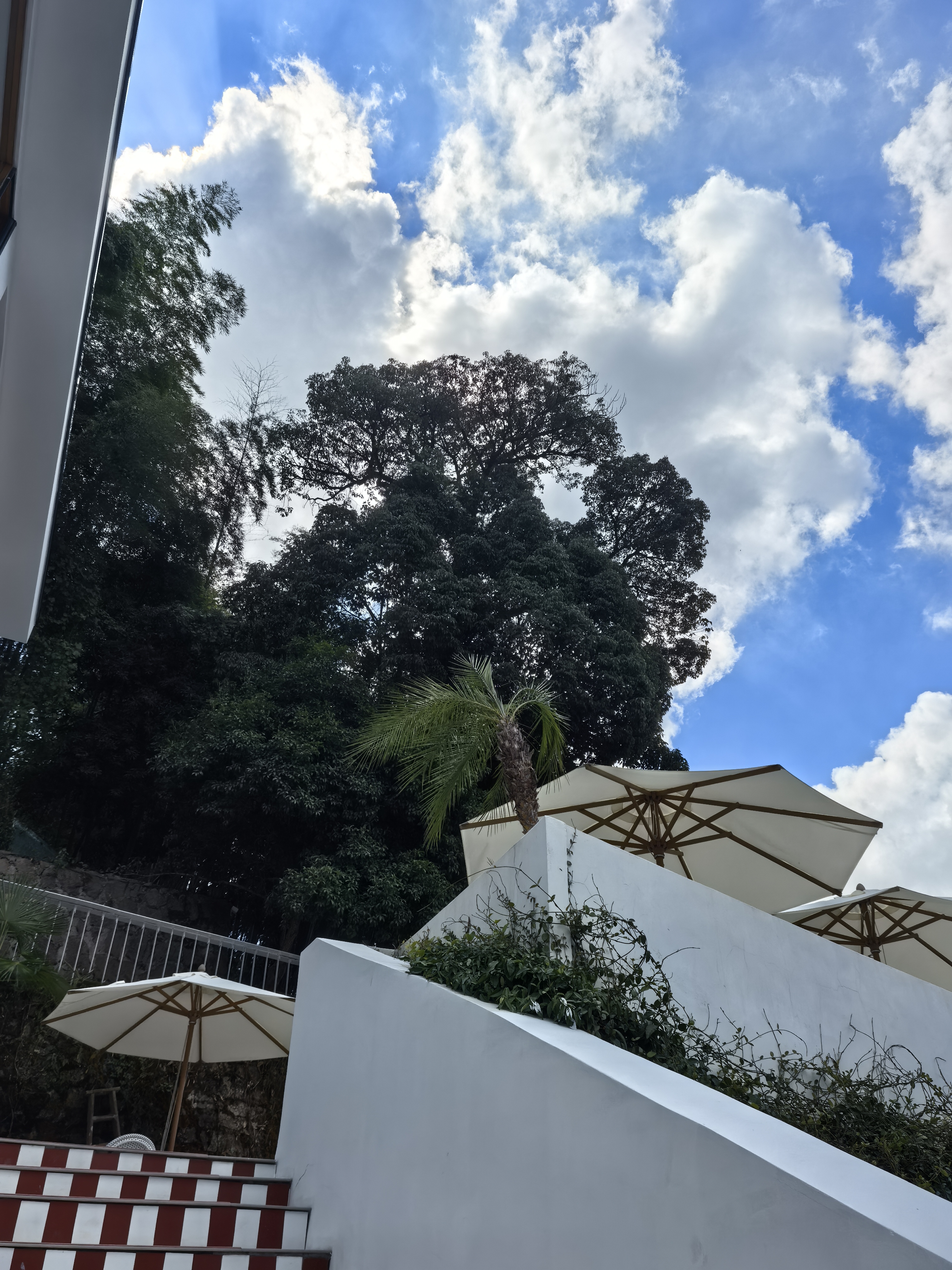 Hangzhou Moju Boutique Guesthouse (West Lake Scenic Area Shop) Over view