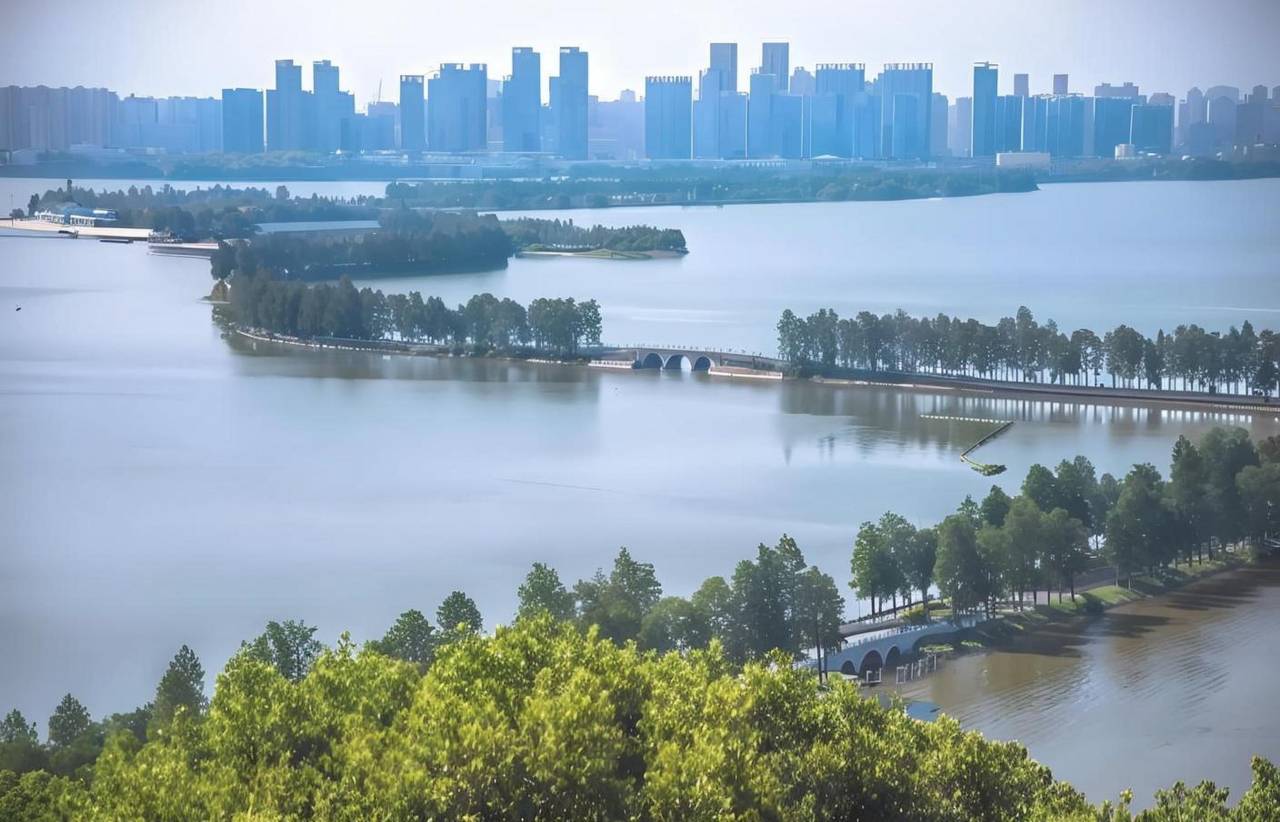 丽橙酒店·逸(武汉岳家嘴地铁站店)图片
