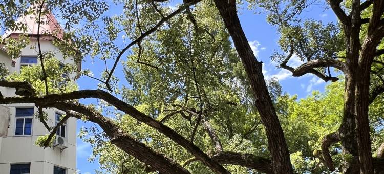 候鸟家园旅居酒店(千岛湖骑龙巷店)图片