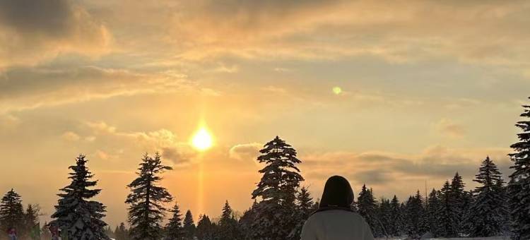 禧舍·侘寂中古度假庭院(长白山西景区旅游服务中心店)图片