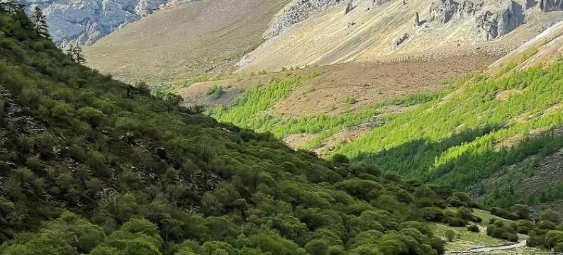 稻城高原反映主题酒店图片