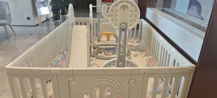 麗枫酒店(香格里拉高铁站店)图片