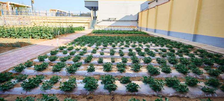 7天酒店(济南钢城区颜庄公园店)图片