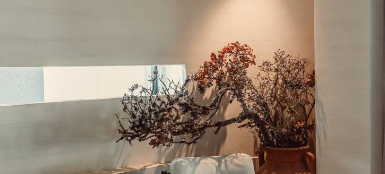 德钦梅里观云伴山·雾浓顶图片