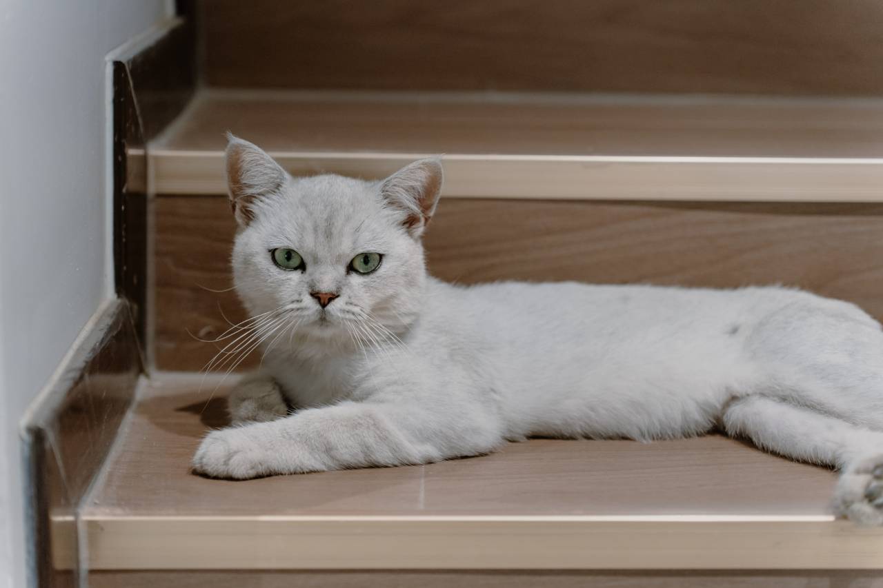 花筑·椿院(龙门石窟景区西北服务区游客中心店)图片