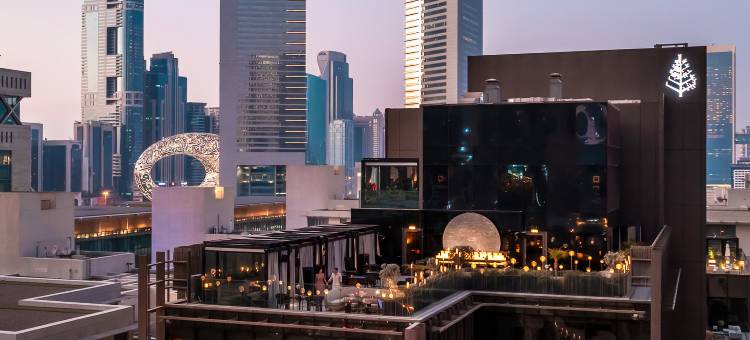 迪拜国际金融中心四季酒店(Four Seasons Hotel Dubai International Financial Centre)图片