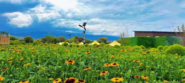 昭苏县望湖庄园度假区图片