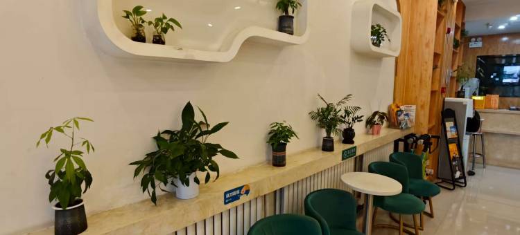 格林豪泰贝壳酒店(衡水哈励逊国际和平医院店)图片