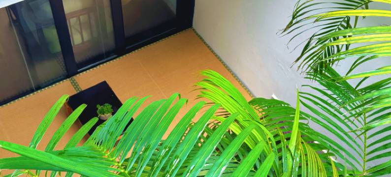 大理古城一佳园民宿图片