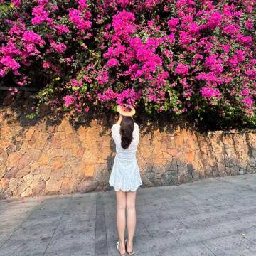 三亚四季海庭酒店图片