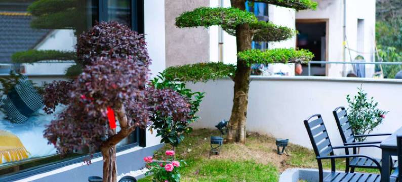 朴然悠居·Leisurely·轻奢休闲度假私墅(九华山天台索道店)图片