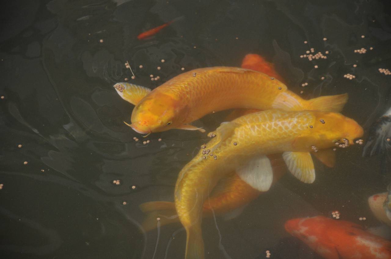 花筑·景德镇景庐民宿(三宝国际陶艺村店)图片