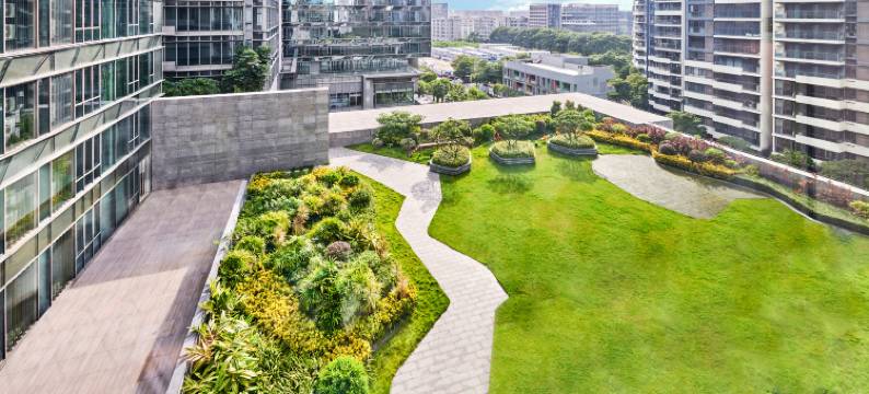 深圳机场希尔顿逸林公寓图片