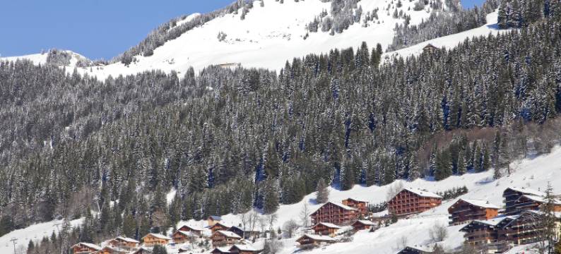 欧达里斯夏特尔农场公寓(Résidence Odalys les Fermes de Châtel)图片