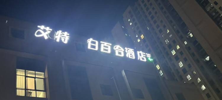 艾特白百合酒店(集贤路新型家园店)图片