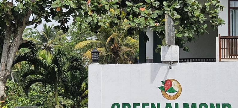 翠杏酒店(Green Almond Hotel)图片