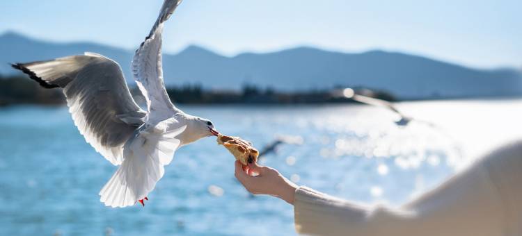 昆明江野度假酒店(滇池大观公园店)图片