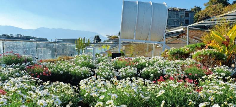 理昂·落云海景民宿图片