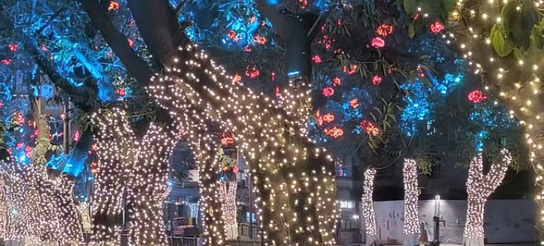 旧巷时光民宿(自贡北站自流井老街店)图片