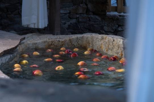 木林森·林昭熹温泉民宿图片