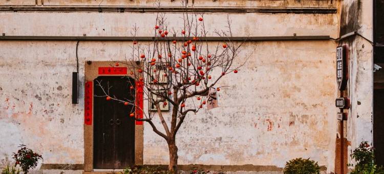 南浔·禧悦Soul Harbor度假美宿(南浔古镇店)图片