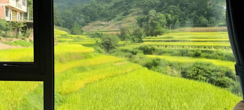 Shimmer·禾竹美宿(习水县政府店)图片