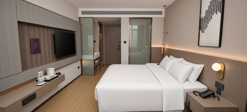 麗枫酒店(上饶弋阳政务中心店)图片