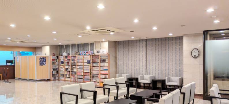东京新小岩微笑酒店(Smile Hotel Tokyo Shinkoiwa)图片