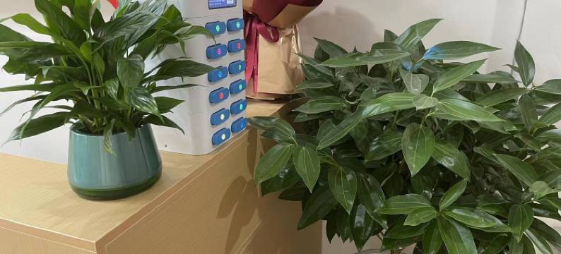 南部金河宾馆图片