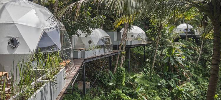 林塘露库帐篷度假村-伊真,班尤旺宜(Lintang Luku Tent Resort Ijen, Banyuwangi)图片