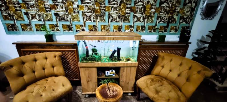 清风酒店(Wind Otel)图片