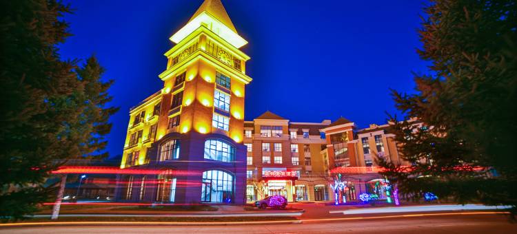 亚布力森林度假酒店图片