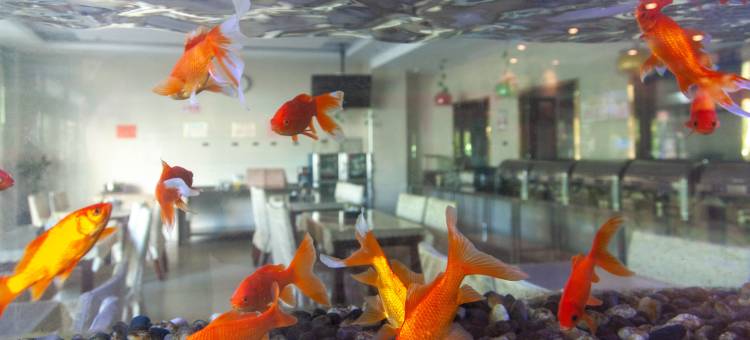 格林豪泰(芜湖江北沈巷快捷酒店)图片