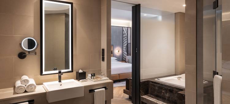 迪拜阿联酋购物中心喜来登酒店(Sheraton Mall of The Emirates Hotel, Dubai)图片