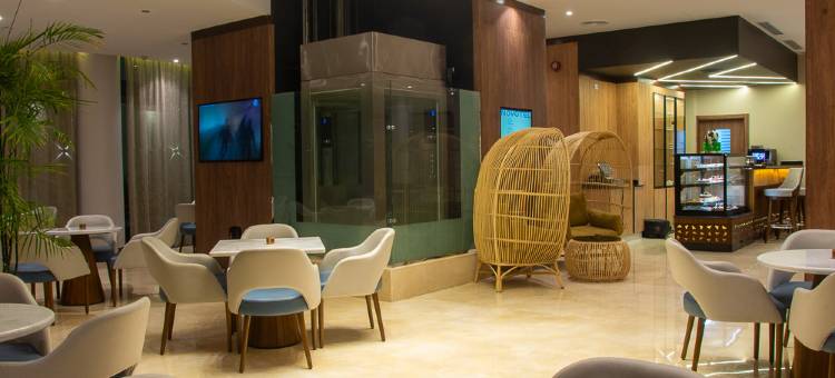 开罗埃伯格诺富特酒店(Novotel Cairo El Borg)图片