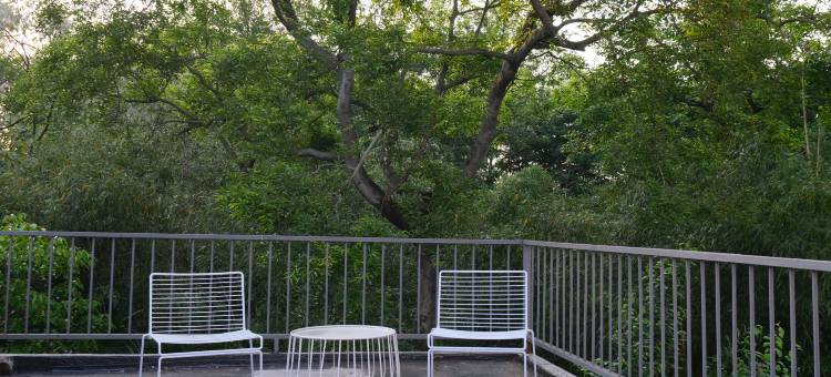 宜兴野泞民宿图片