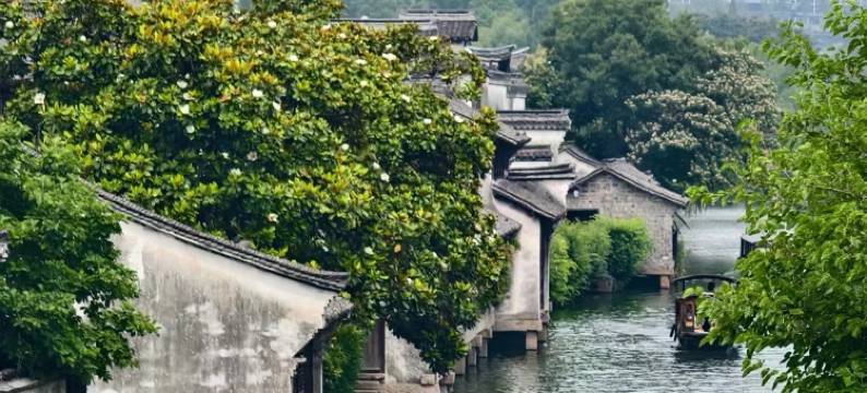 Yolo·青沐民宿(桐乡乌镇西栅景区店)图片