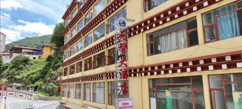 新龙天智大酒店图片