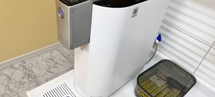 东大门(精灵空间)(Fairy House)图片